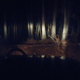 Illustration for article titled How Blowing Up My Engine Led To A Wild Night Of Offroading With Strangers From Craigslist